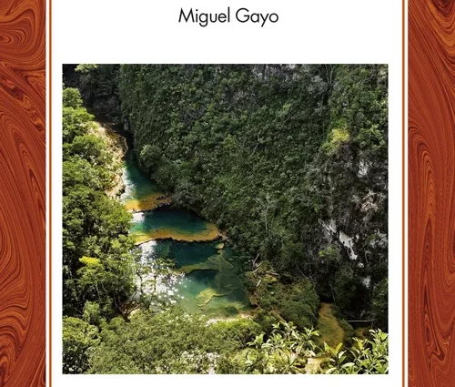 EL_TUNCHE_miguel gayo