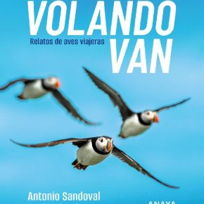 volando-van