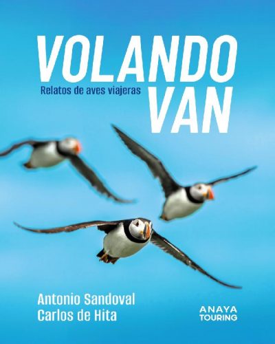 volando-van