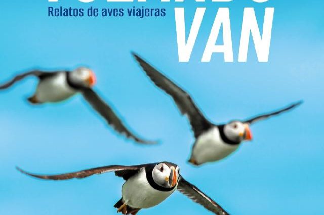 volando-van